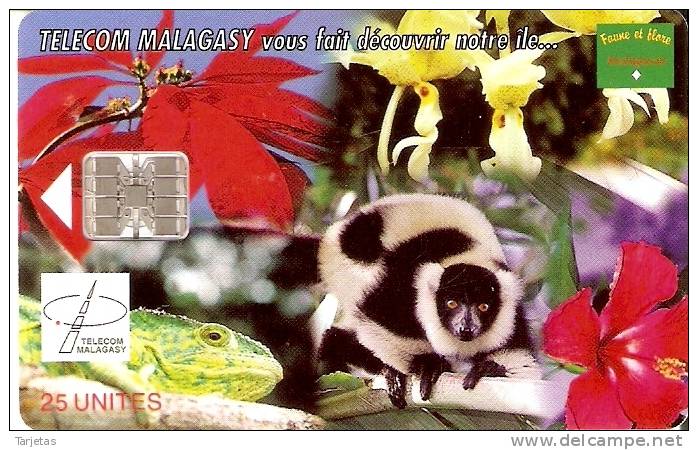 TARJETA DE MADAGASCAR DE UN LEMUR (LEMUR) - Giungla