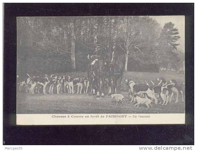 Paimpont Chasse à Courre En Forêt , Un Vautrait édit.photo Du Centre Meute De Chiens - Paimpont