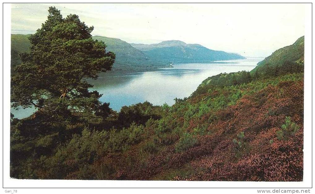 LOCH NESS - Inverness-shire