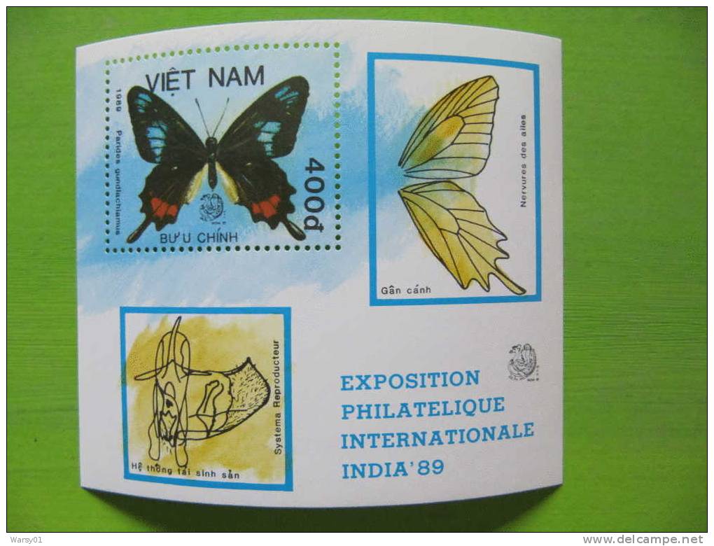 123    Insect Insecte Vietnam 1989 Exposition Internationale Inde India 89 ERREUR Sur Timbre Butterfly  Papillon - Oddities On Stamps