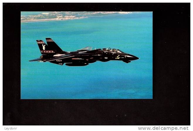 CNF9 Grumman F-14D Tomcat - VX-9's "Playboy Bunny" - 1946-....: Moderne