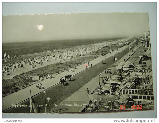 4981 NETHERLANDS HOLLAND  NOORDWIJK AAN ZEE WILHELMINA BOULEVARD  YEARS  1950  OTHERS IN MY STORE - Noordwijk (aan Zee)