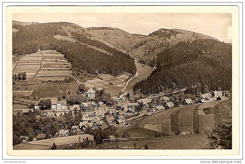 AK 446 Schönbrunn Thüringer Wald Blick In Den Hühnersbach 05.8.58 - 17 SCHÖNBRUNN KR HILDBURGHAUSEN Nach Erdeborn - Hildburghausen