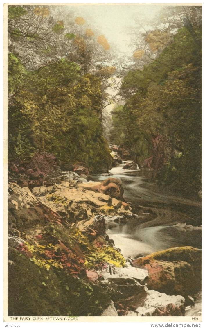 Britain United Kingdom - Fairy Glen Bettws-y-Coed 1940s Postcard [P1377] - Caernarvonshire