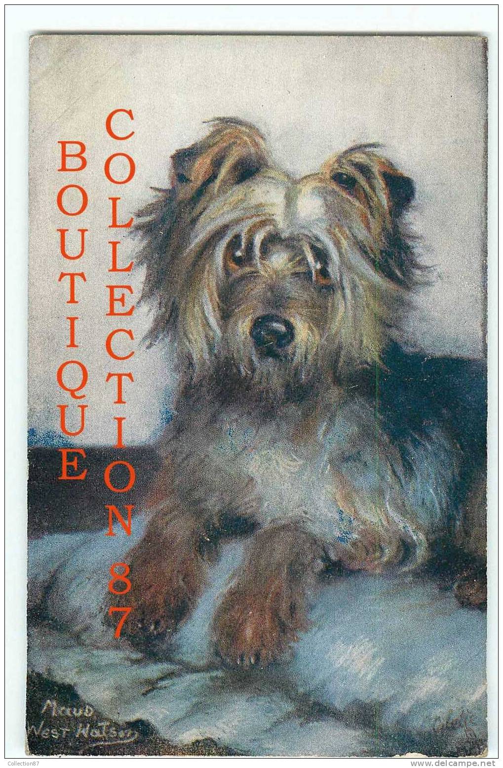 TUCK - SERIE " PET DOGS " 9889 - YORKSHIRE TERRIER - CHIEN - DOG - CHIENS - DOS VISIBLE - Tuck, Raphael