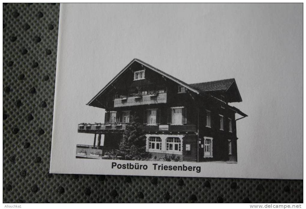 1980 LETTRE MAXIMUM LIECHTENSTEIN THEME DES BUREAUX DE POSTE  POSTBURO TRIESENBERG - Briefe U. Dokumente