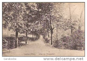 CPA De LANDAU - Allee Im Westpark. - Landau