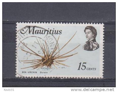 Maurice YT 334a Obl : Oursin - Mauricio (...-1967)