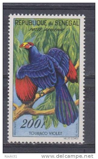 Sénégal YT PA 33 * : Touraco Violet - Cuckoos & Turacos