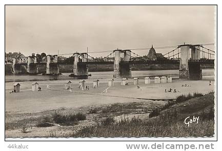 JARGEAU La Plage Et La Loire - Jargeau