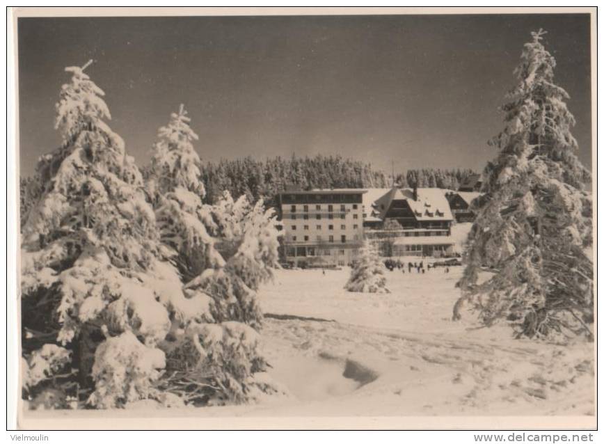 FELDBERG I SCHWARZWALD 1500 M HOTEL FELDBERGERHOF LOT 2 CARTES - Feldberg