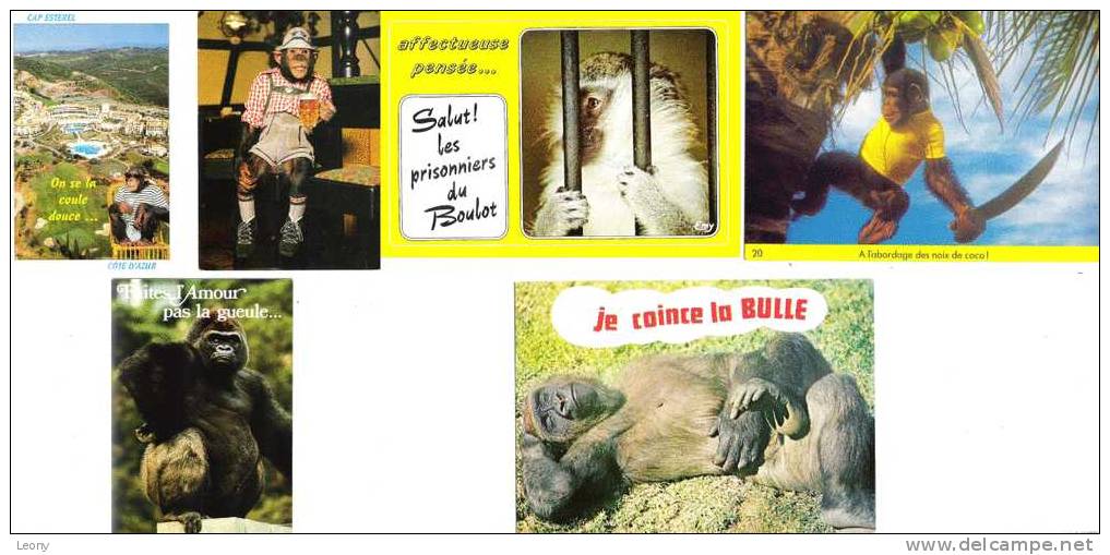 6 CPM  Représentant Des  "SINGES Avec HUMOUR" - Apen