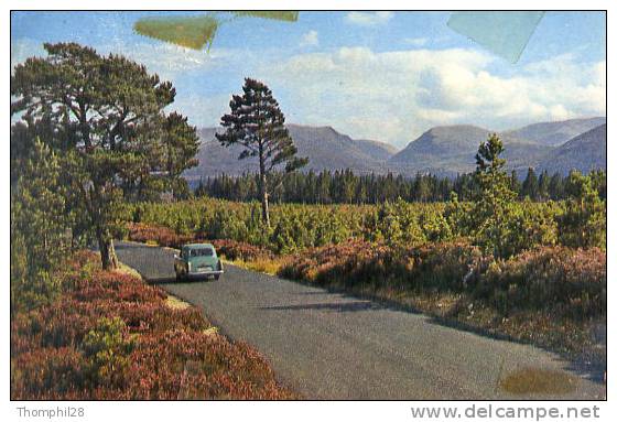 INVERNESS-SHIRE - The Larig Ghru From Glenmore Road - The Road Leads From Coylumbridge Through The Forest Of Glenmore - - Inverness-shire