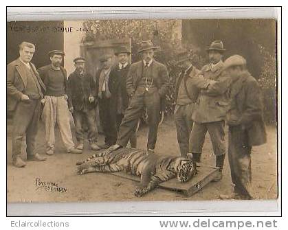 Droue    28     .La Tigresse De Droué... ( Rare )  Chasse.carte Photo - Otros & Sin Clasificación