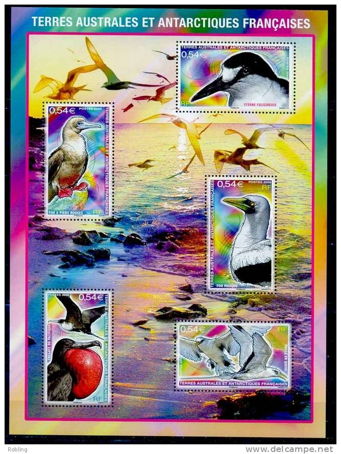 Antarctic -  TAAF 2009 Birds, MNH 16129 - Unused Stamps