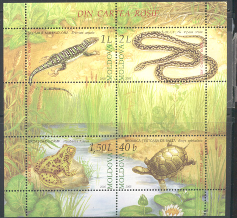 2005 MOLDOVA Reptiles 4v+MS MNH - Kikkers