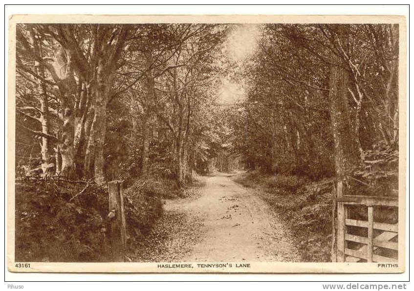 UK679 : HASLEMERE : Tennyson's Lane - Surrey