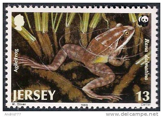 Jersey 1989  Endangered Fauna Frog - Rane