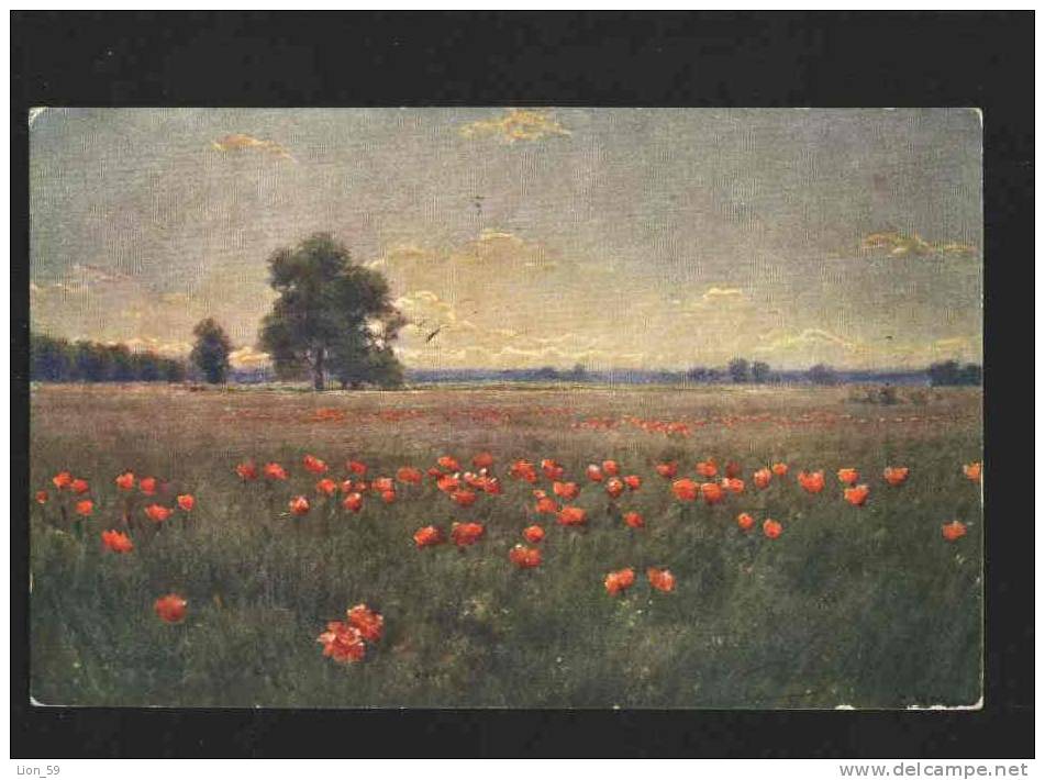 29 XI 1911 Oswiecim 2  AUSTRIA , POLAND To TIRNOVO Bulgaria Bulgarien Art WRZESZCZ - MAKI POPPY POPIES Meadow Pc 10591 - Covers & Documents