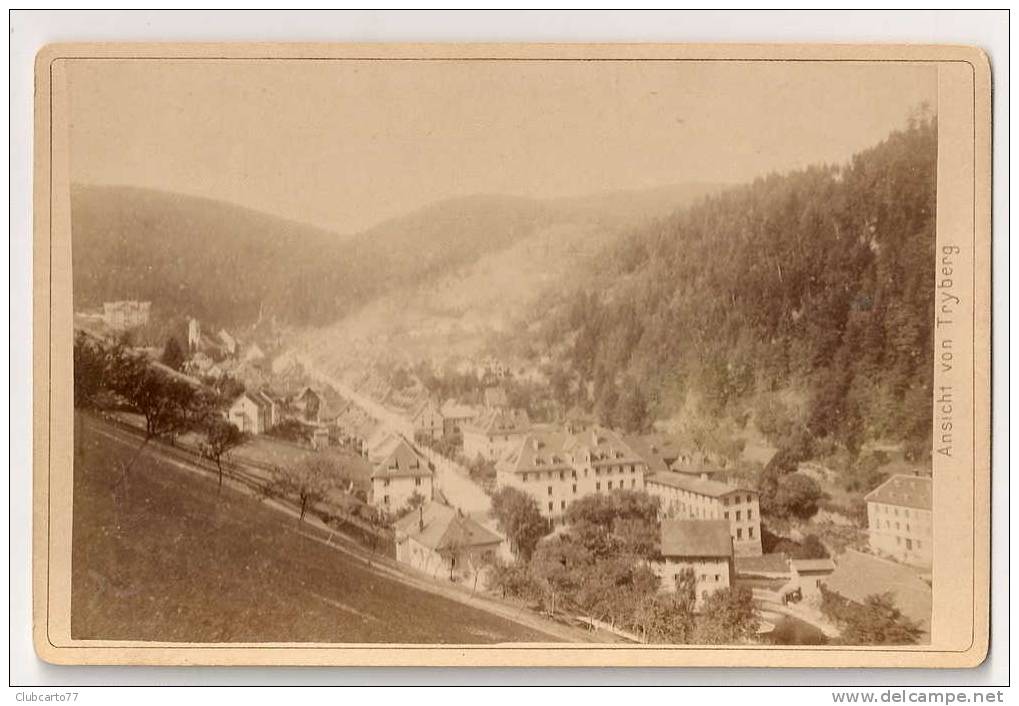 Triberg (Allemagne) : Vue Générale En 1886 (animée) PHOTO EXTREMEMENT RARE. - Triberg