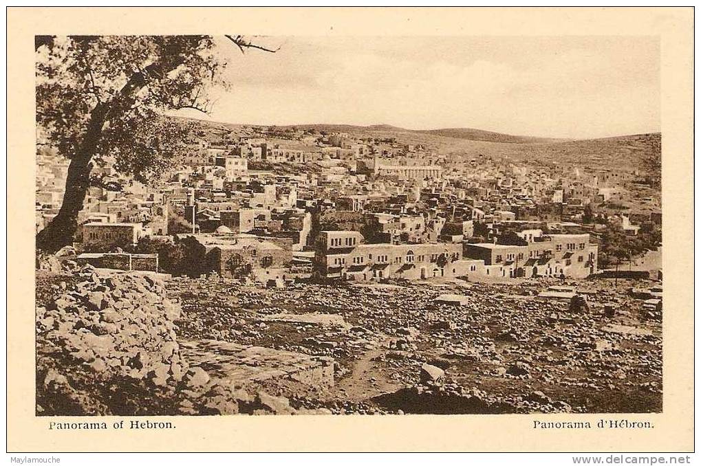 Hebron - Palestine