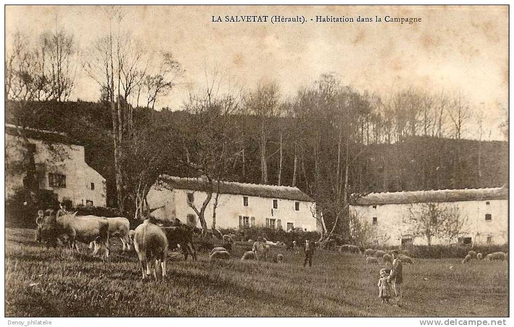 34 / LA SALVETAT / HABITATION DANS LA CAMPAGNE - La Salvetat