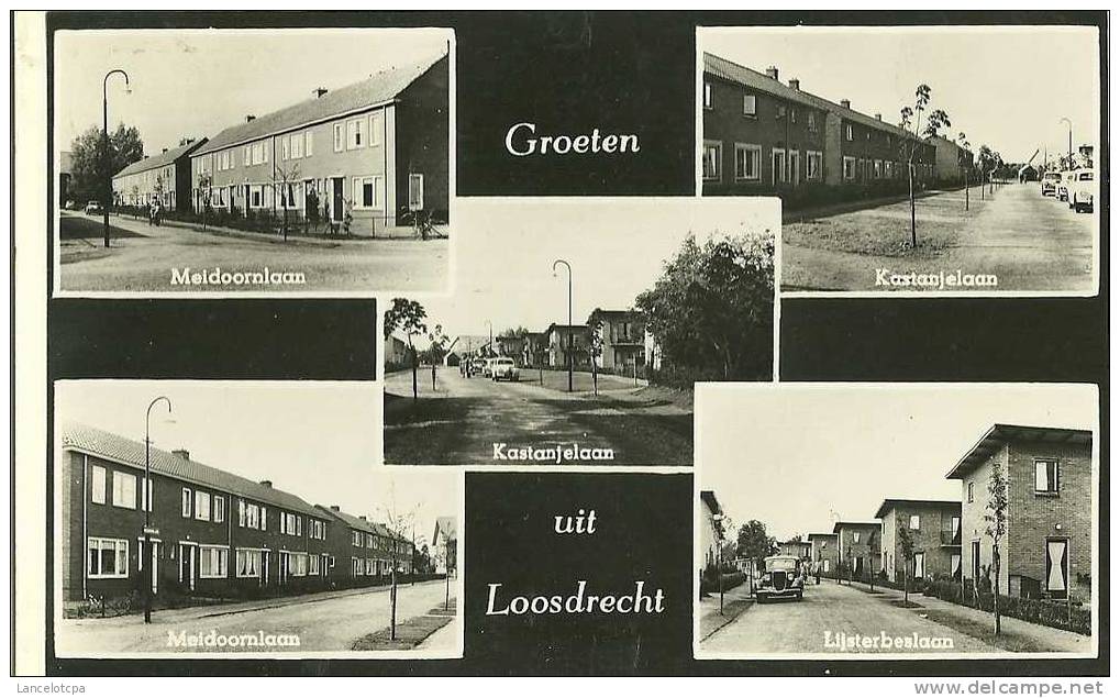 GROETEN UIT LOOSDRECHT - Alphen A/d Rijn