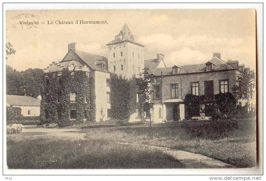 D236 - Vielsalm - Le Château D' Hermamont - Vielsalm