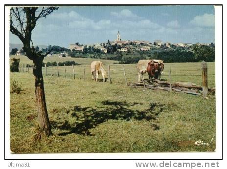 CPSM DARDILLY LE BAS RHONE 69 Vue Générale Vaches CIM - Other & Unclassified