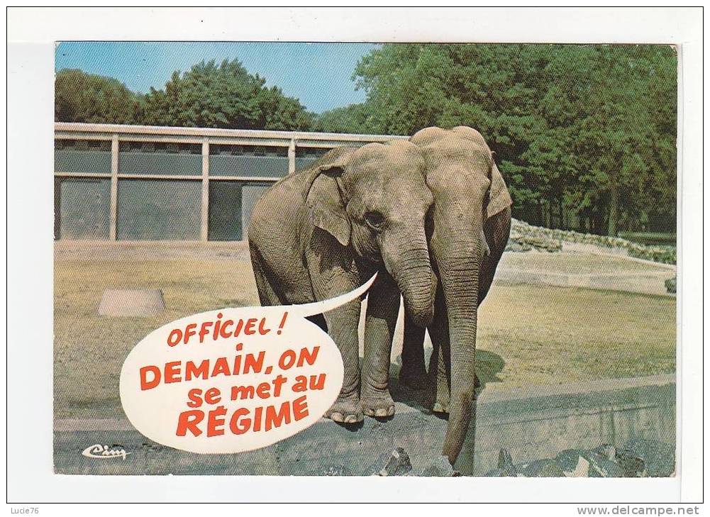 Collection :  ANIMAUX HUMORISTES -  N° AN 71  - ELEPHANTS -  Tu Me Trompes - Éléphants