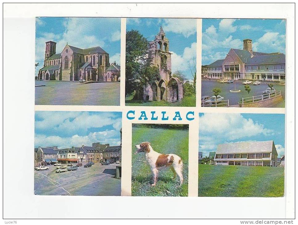 CALLAC - 6 Vues  : Eglise, Ruines De Botmel, Centre Adm., Place, Chien De Race, Maison De Retraite - N°  1490 - Callac