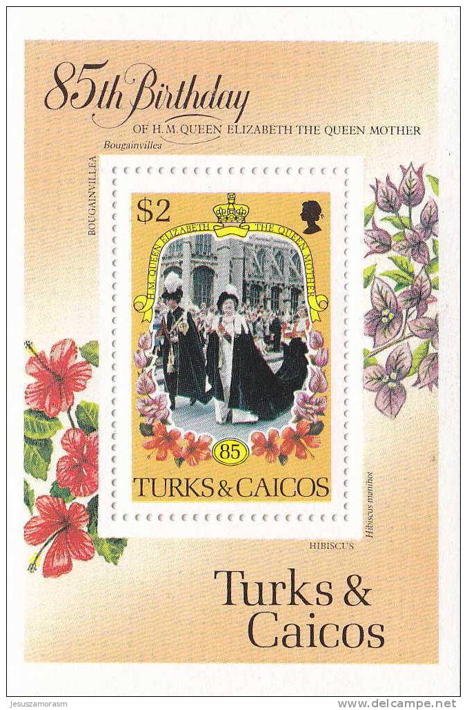 Turks Y Caicos HB 61 - Turks & Caicos (I. Turques Et Caïques)