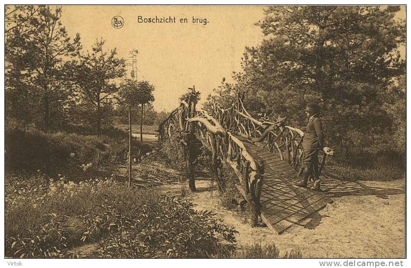 Heide : Boschzicht  En Brug  ( Bus Vertrekuren 1932  Zie Verso ) - Kalmthout