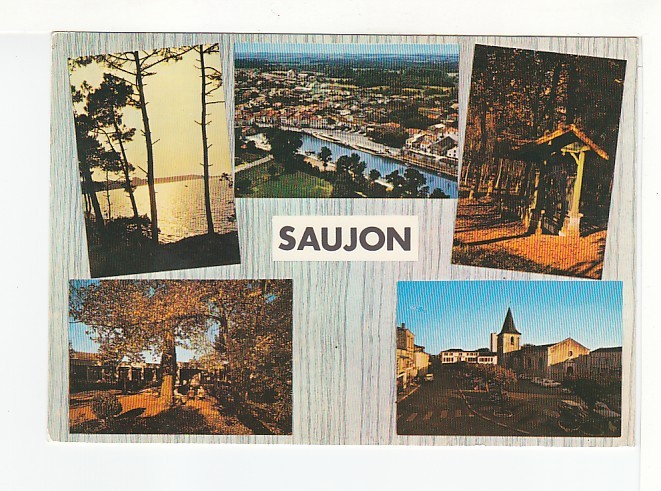 SAUJON -  5 Vues  :  La Côte - Le Port De Riberoux - Source Du Puits Doux - Etabl. Thermal - La Place De L'Eglise - Saujon