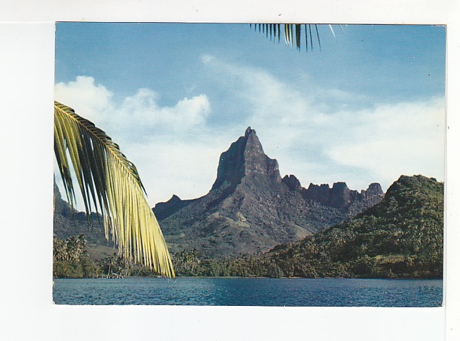 MOOREA  -  Mt Muaroa -  Vu De La Baie De Papetoai  - N°  116 - Polynésie Française