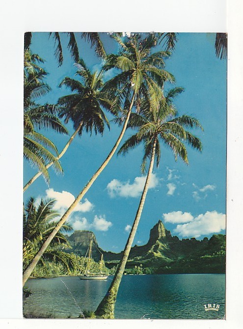 MOOREA - Baie De PAOPAO Ou Baie De  COOK  - N° 131 - Polynésie Française