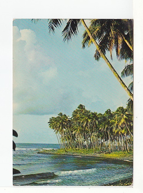 Paysage POLYNESIEN - N°  11 - Polynésie Française