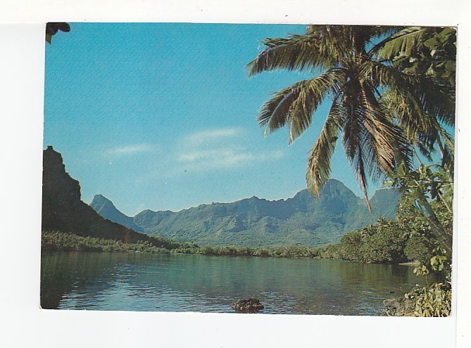 MOOREA -  Paysage De La Baie De  HOPUNOHU  - N° 134 - Polynésie Française