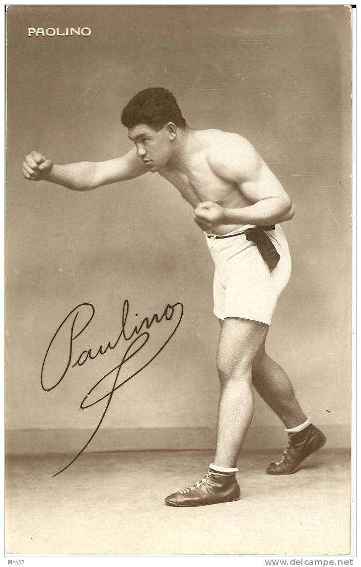 Paolino - Boxing