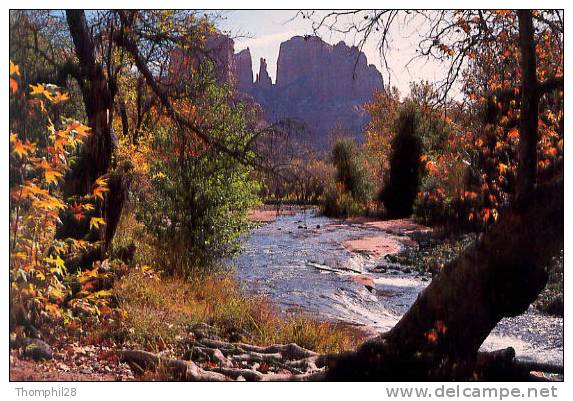 OAK CREEK CANYON - ARIZONA - The Clear Cool Waters Of Oak Creek Wander Through The Red Rocks Of SEDONA - TBE, 2 Scans - Sedona