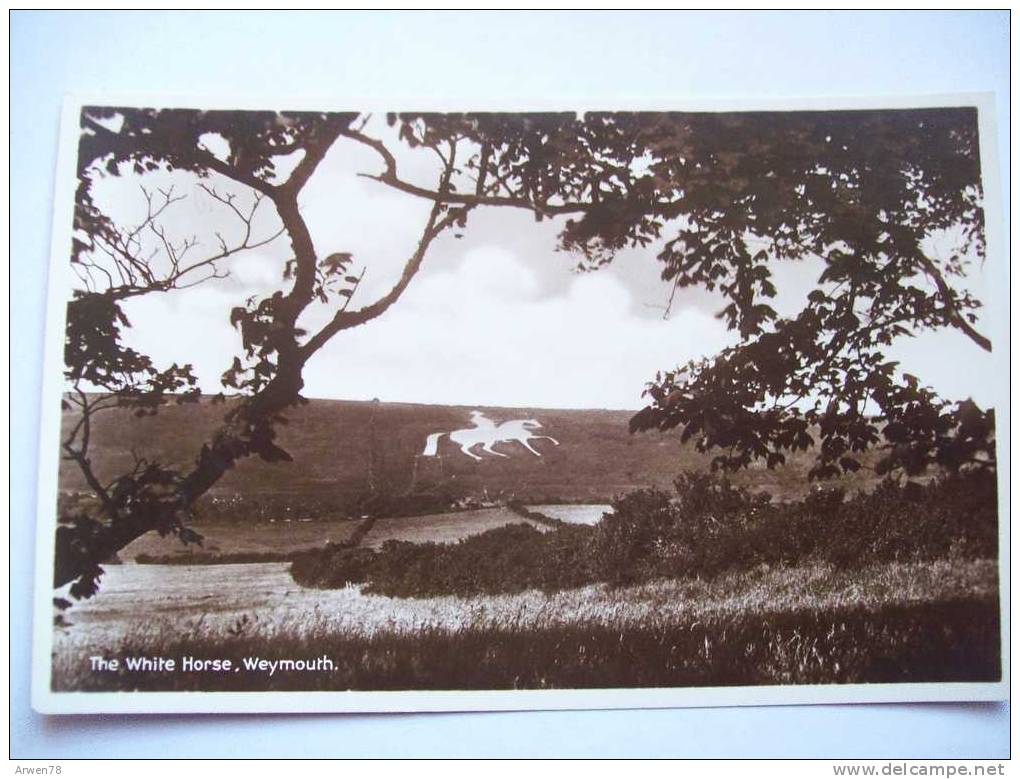 The White Horse Weymouth Carte Photo  Recto / Verso - Weymouth