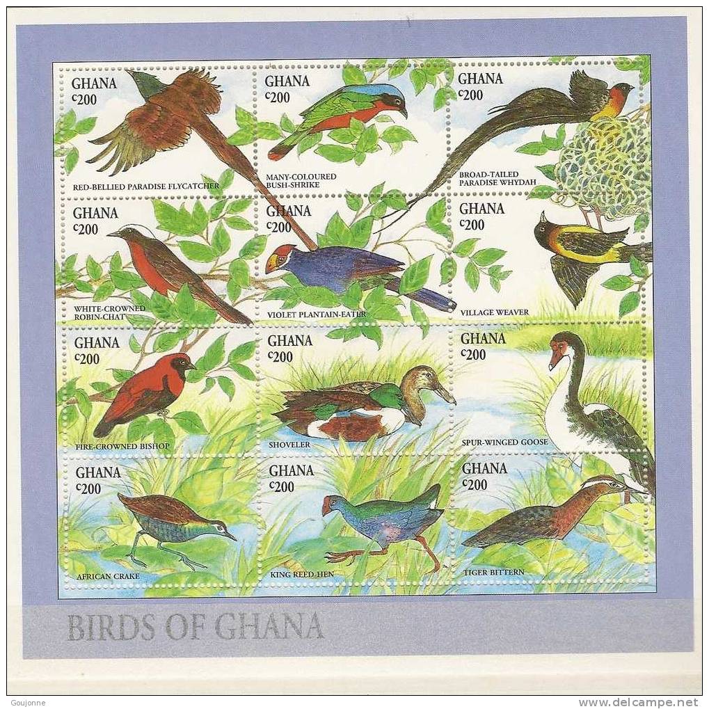 GHANA   Faune D'Afrique  Oiseaux  (1) 1607 1618** - Colibris