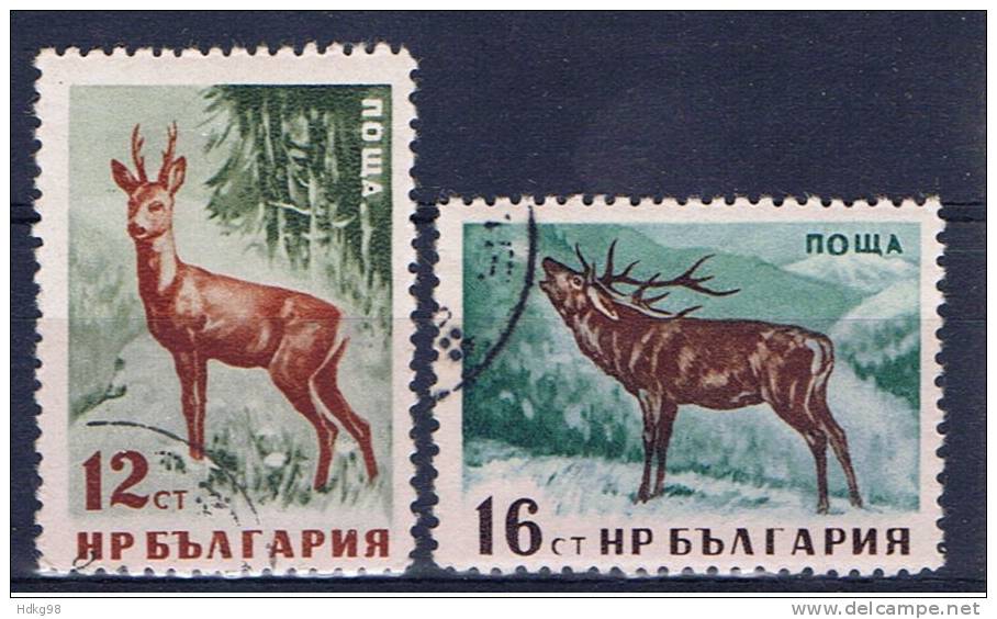 BG+ Bulgarien 1958 Mi 1059-60 - Used Stamps