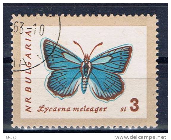BG+ Bulgarien 1962 Mi 1341 Schmetterling - Gebraucht