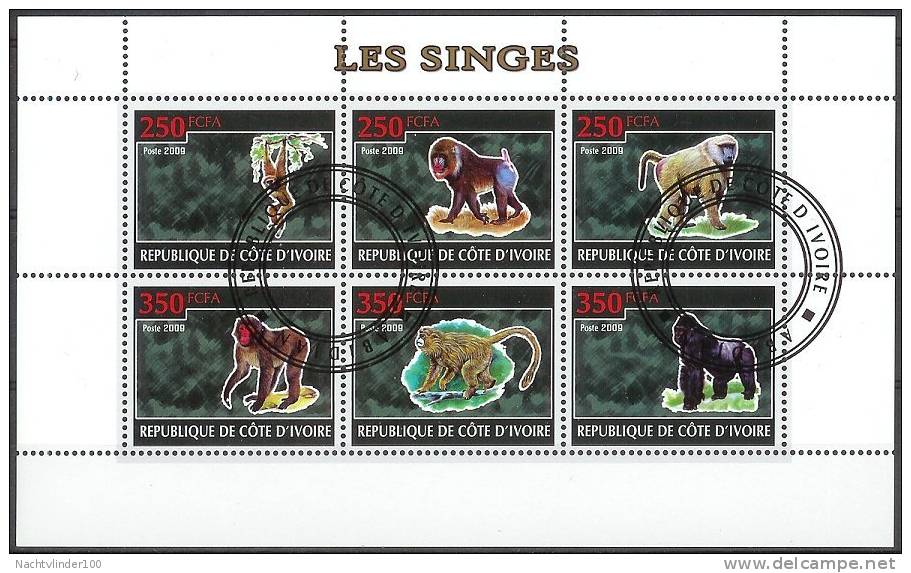 Myp010 FAUNA AAP APEN GORILLA MAKAAK GIBBON ZOOGDIER MONKEYS MAMMALS APES AFFEN COTE D´IVOIRE IVORY COAST 2009 Gebr/used - Scimmie