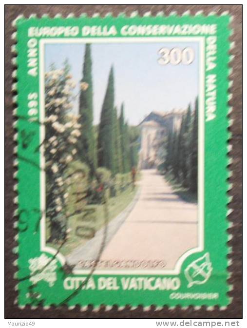 VATICANO 1995 Nr 1012 Conservazione Della Natura 300 Lire - Used Stamps