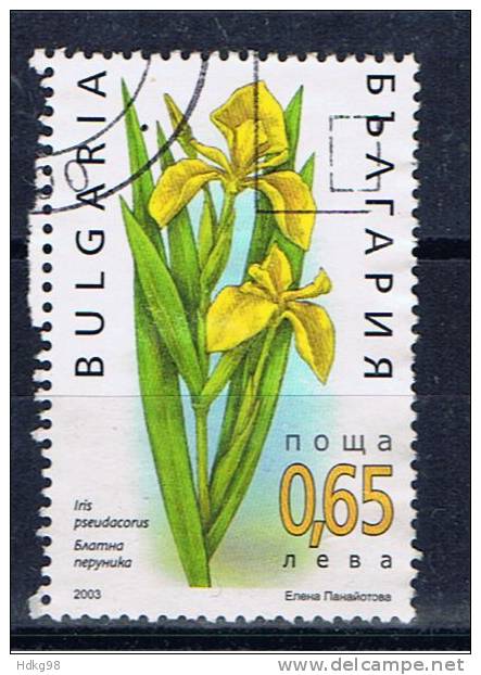 BG+ Bulgarien 2003 Mi 4608 - Used Stamps