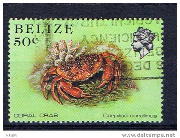 BH+ Belize 1984 Mi 738 Krabbe - Belize (1973-...)