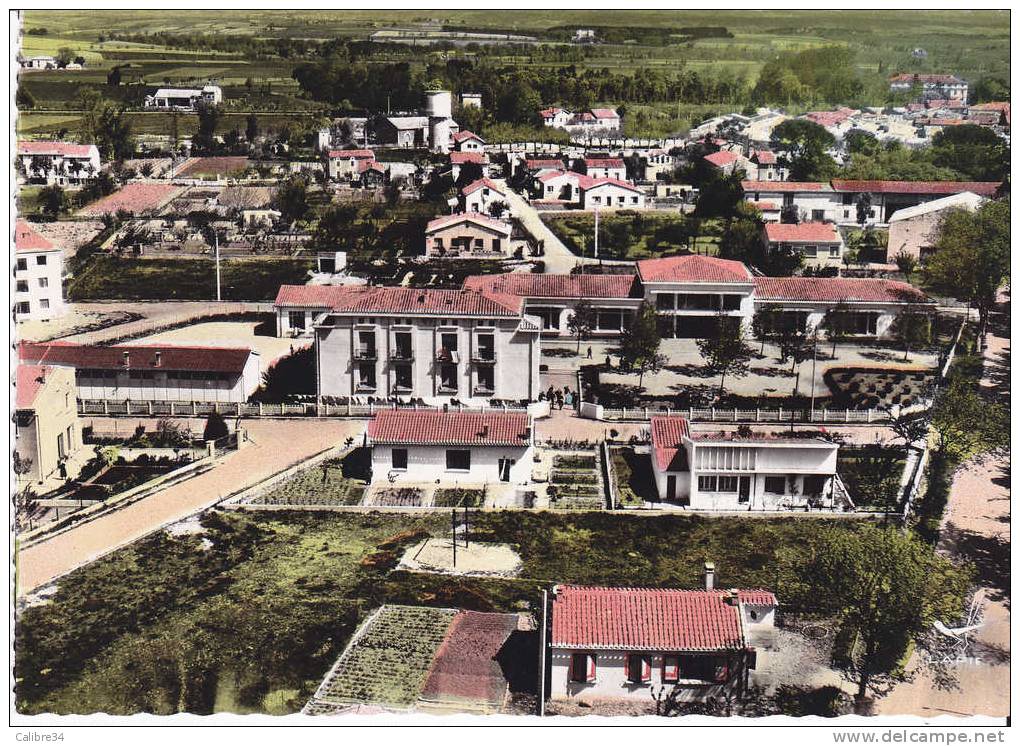 CPSM En Avion Au Dessus De BRAM Groupe Scolaire - Bram