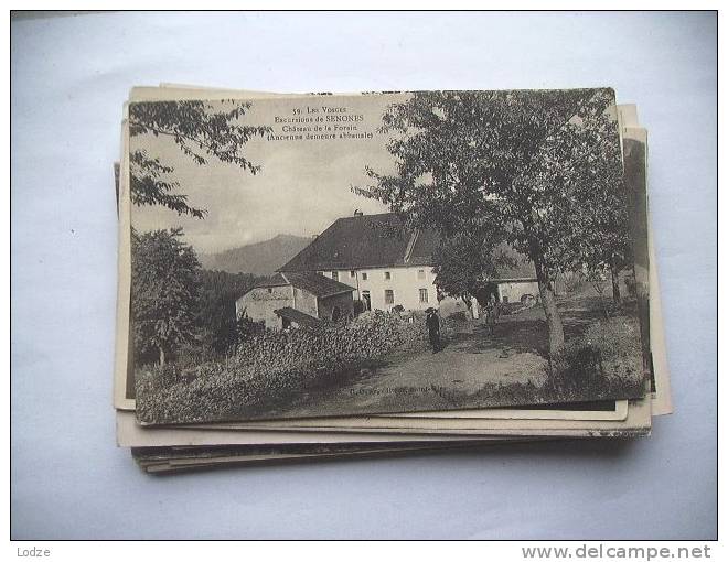 France Frankrijk Senones Envirement Chateau De La Forain - Senones